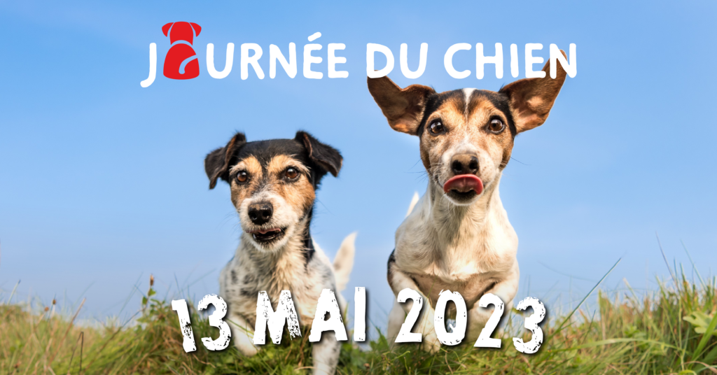 Journée du chien 2023