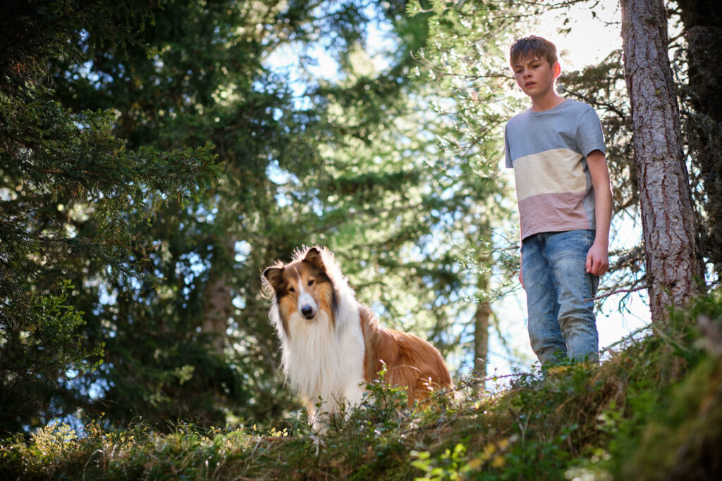 Lassie – ein neues Abenteuer