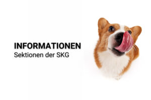 Informationen aus den Sektionen_DE