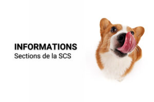 Informationen aus den Sektionen_FR