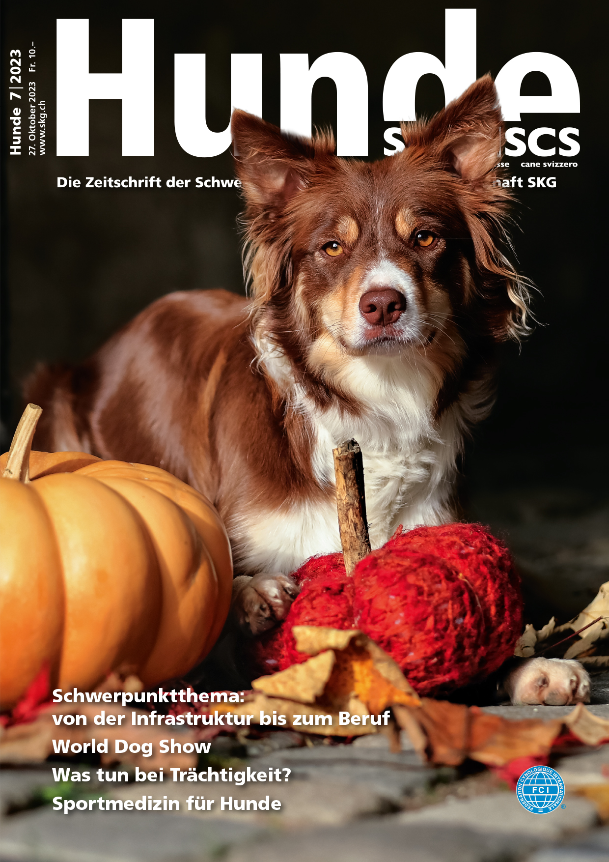Zeitschrift Hunde 07/23