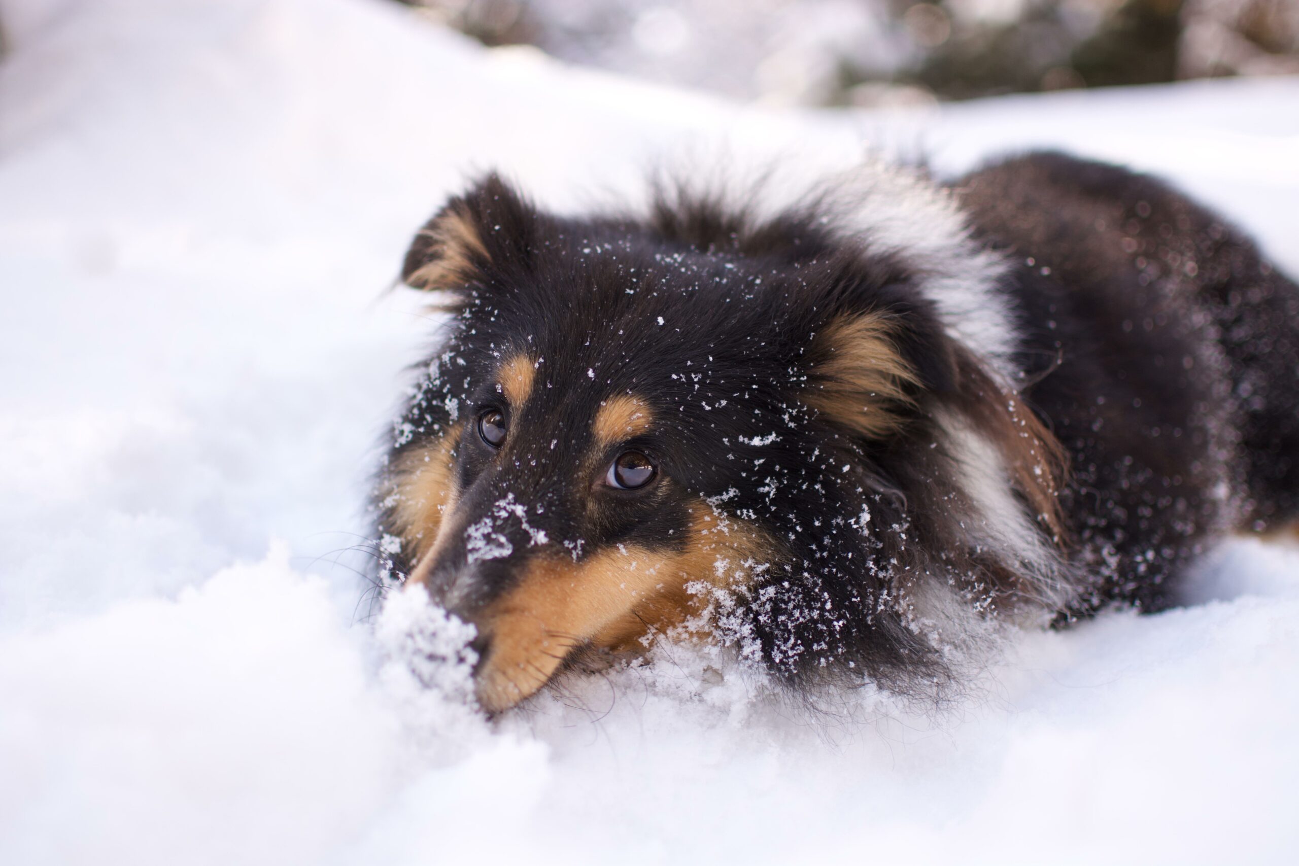 Sicher und gesund durch den Winter