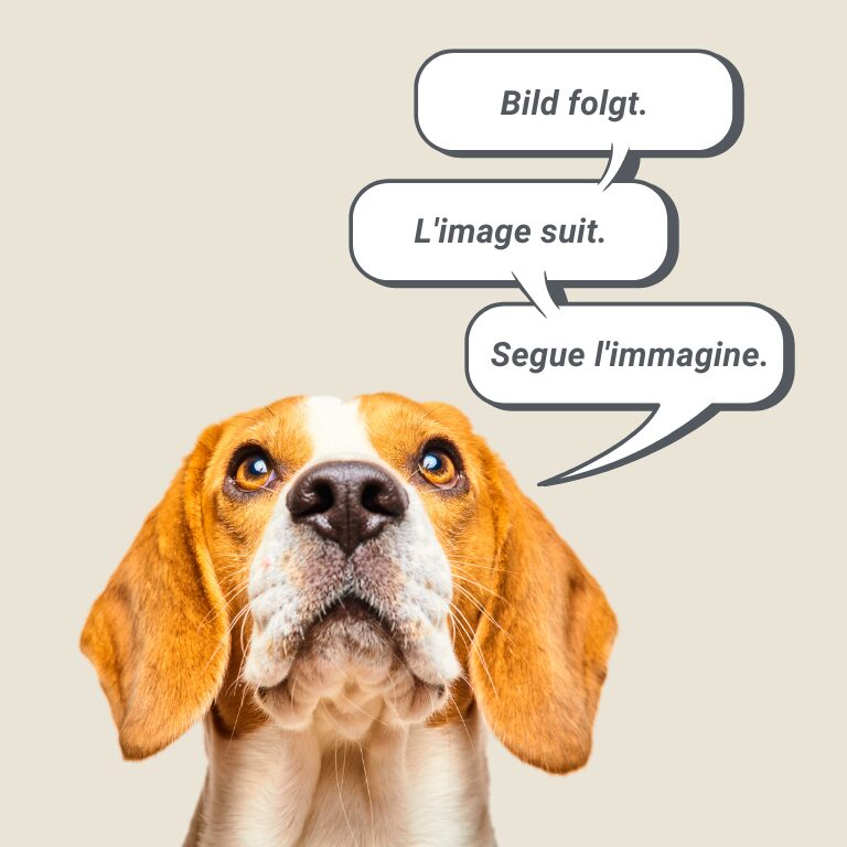 Aus- / Weiterbildungen