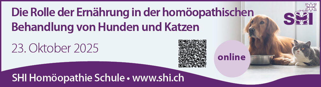 www.shi.ch