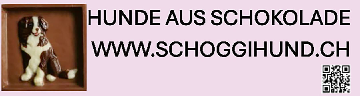 www.schoggihund.ch