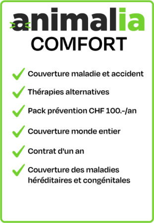 Animalia Assurance Comfort - FR