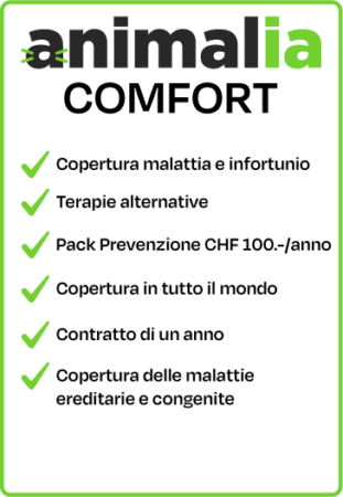 Animalia Assurance Comfort - IT